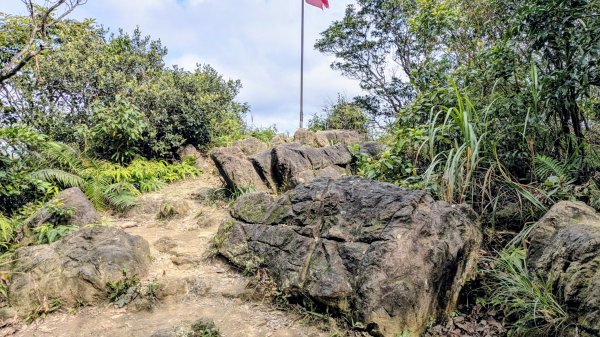 七二法則的倍數樂章2984128