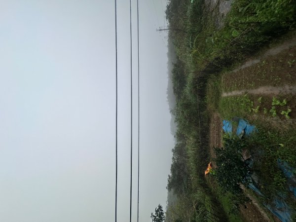 2024草嶺古道芒花季草嶺古道2644778