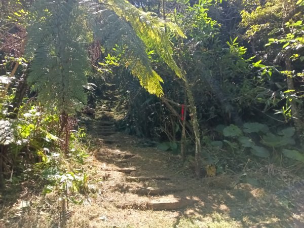 基隆市外西勢坑山+暖暖砲台+福基煤礦遺址O型2907972