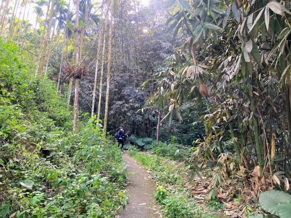 後尖山步道2683557