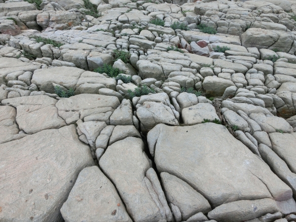 龍洞灣岬步道．龍洞攀岩場92455