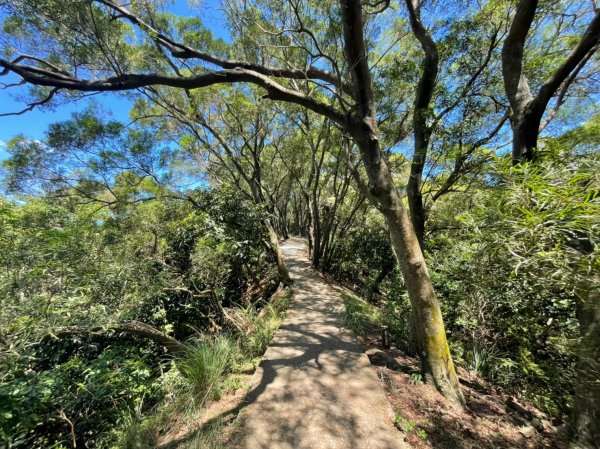 桃園｜蘆竹 五酒桶山步道1487795