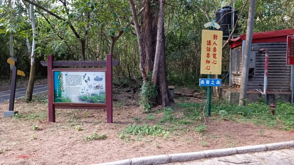 南山神壽：竹南海濱森林步道1901546