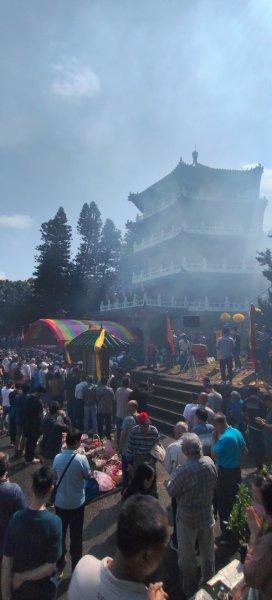 桃園觀新藻礁生態(葉五美宗族清明掃墓)3030509