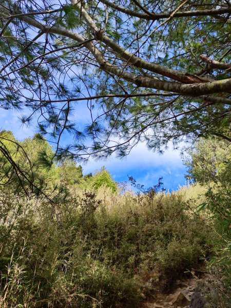 單攻志佳陽2725308