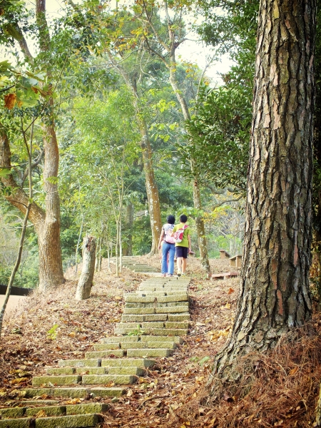 苗栗--薑麻園步道7471