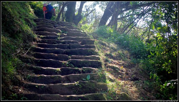 大屯山：向天池、向天山、面天山、大屯山915356