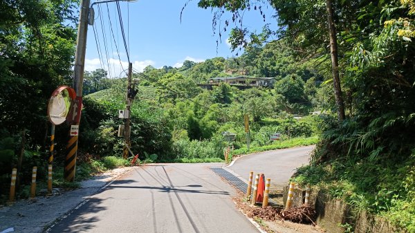 鱷魚頭景觀步道1759523