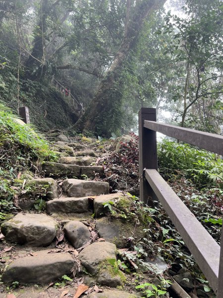 崁頭山步道｜上去後Ｏ型 左上 右下1909887