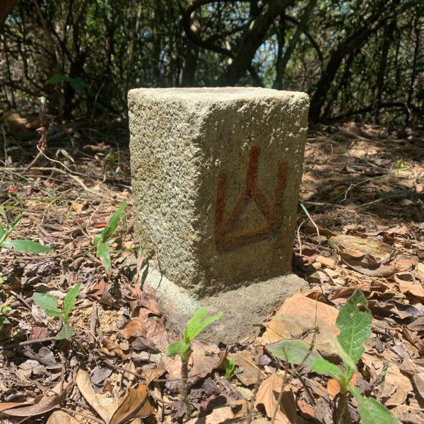 20250531屏東武潭山2803180