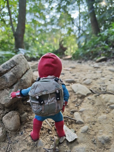 2024.01.02 飛鳳山2832137