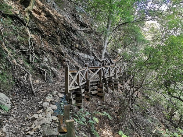 德芙蘭生態步道-綠蔭遮陽，涼風徐徐避暑道1049633