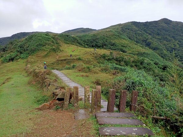 【新北-臺灣百大必訪步道】灣坑頭山→福德山→桃源谷草嶺線→大溪線→蕃薯寮山→大溪火車站1524586