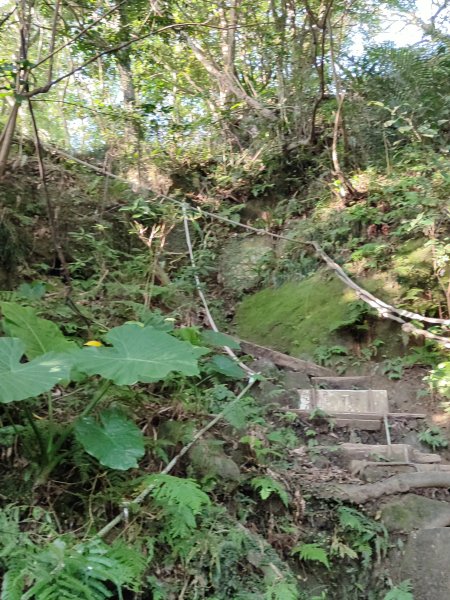 微笑山線：【鳶山山系】鳶山彩壁段2855450