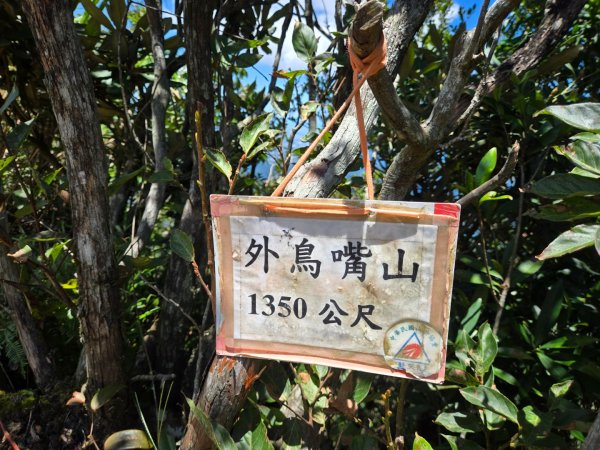 馬武督探索森林、外鳥嘴山2860626
