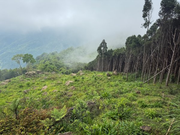 新竹五指山 - 指峰凌霄2768547