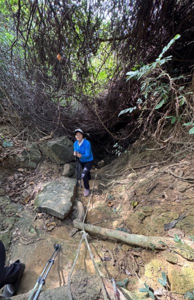 大社觀音山(小百岳#)2968587