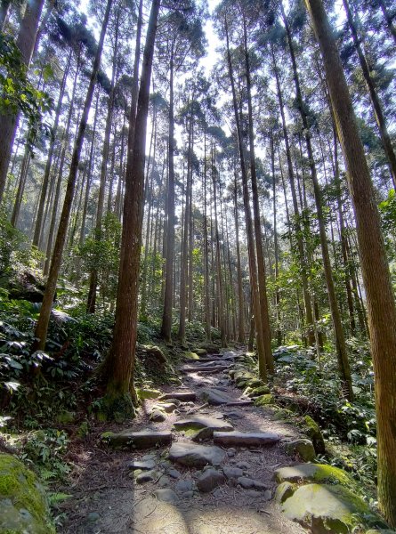 馬武督-外鳥嘴山846103