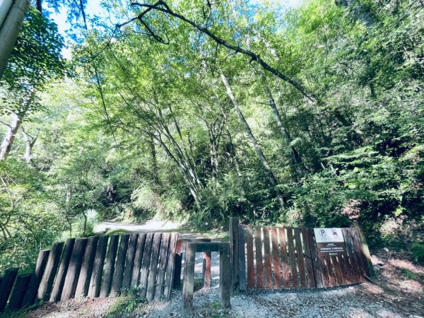 20260531觀霧榛山登山步道（榛山北峰+主峰+環形步道）3071463