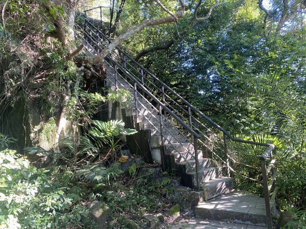 【四獸山 Short】虎豹象先行！獅山封閉中，等新步道開箱再相見2888796