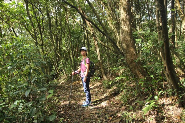 淡蘭古道北路坐山望海1253887