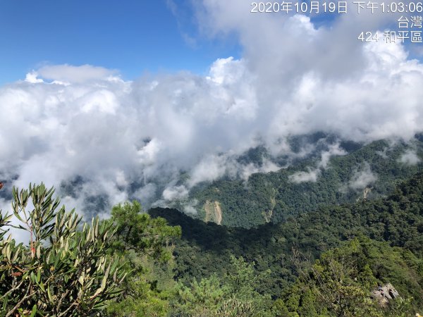 鳶嘴稍來國家步道季秋縱走1144570