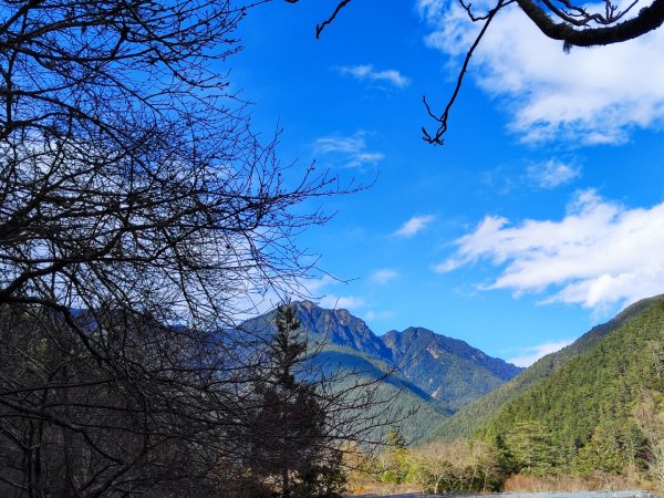 1/1元旦雪主東2681426