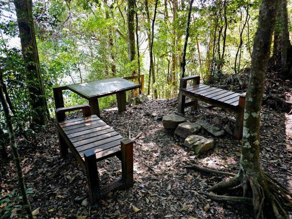 白毛山-谷關七雄(老六)3015205