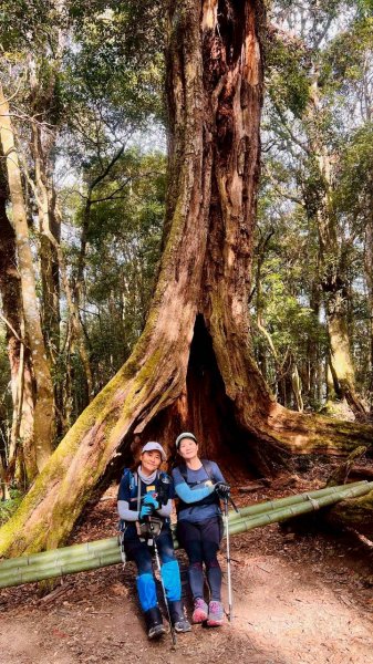 🌈1/18（日）忘憂森林×金柑樹山×溪頭天文台✨FB：熊熊趴爬走🌈2983964