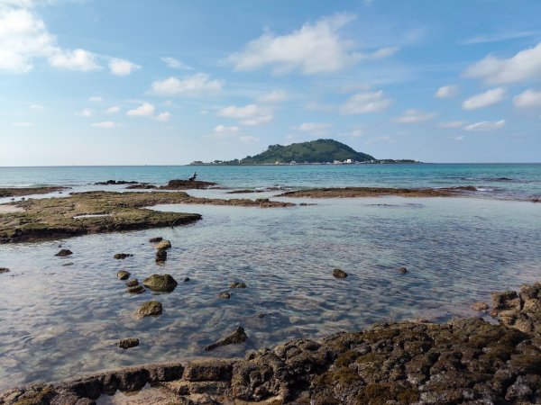 韓國濟州島：挟才海水浴場2912171