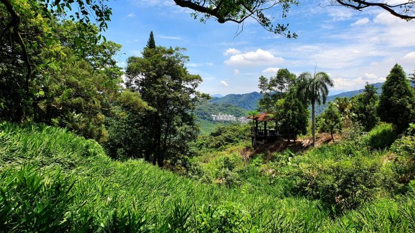 紫微聖母環山步道，土城桐花公園，五尖山，原住民族生態公園，大平紅橋，三坑自然生態公園1746429