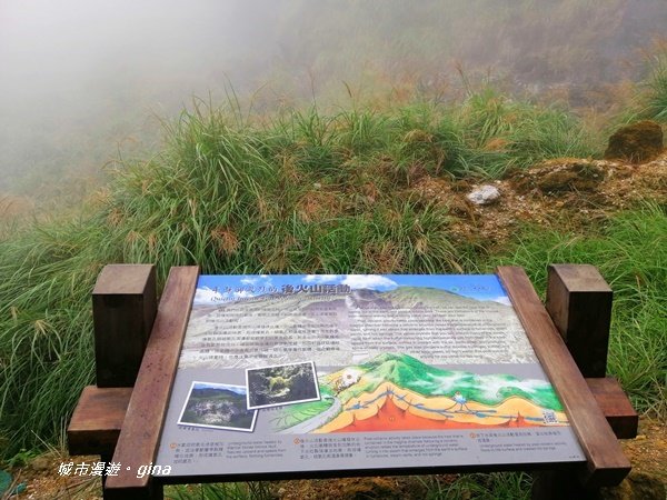 台北市第一高峰。 編號02小百岳七星山1235305