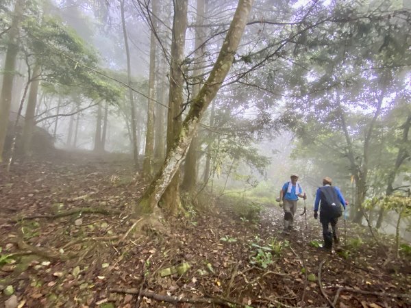 高雄桃源連走塔羅留山他果晏山南我丹山    2022/4/201683140