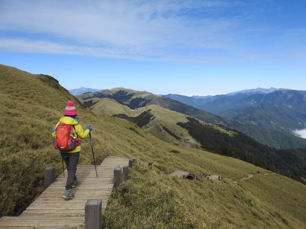 悠閒漫遊 合歡東峰1960493
