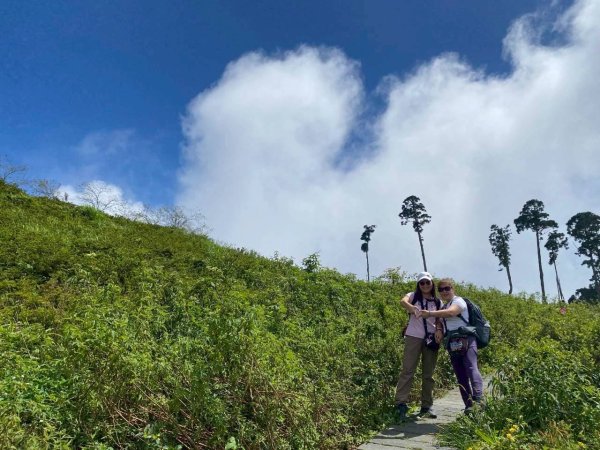 🌈17（日）雲嶺之丘+五元二角+木馬古道✨FB：熊熊趴爬走🌈2861680