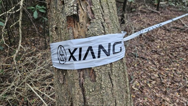 20251226糖塔山-埤塘窩山-石頭坑山2969772