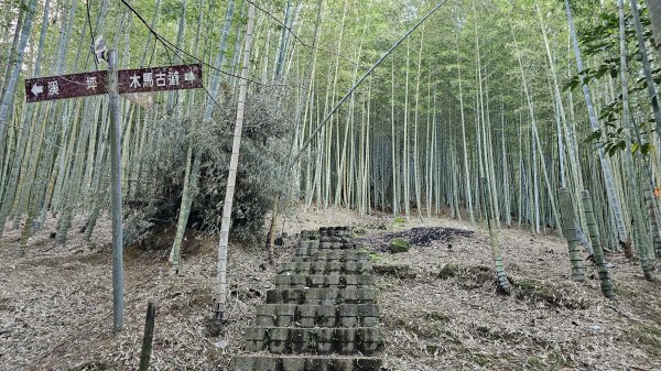 241122-慢走溪頭六連峰（大崙頭山、貓冬望山、民眾坪山、樟空崙山、志騰山、竹崙山）。美美兔沒在怕2654736