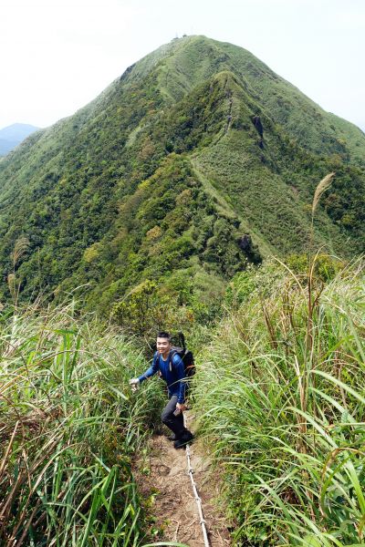 黃金一稜 基隆山東峰、主峰 O型 201297278