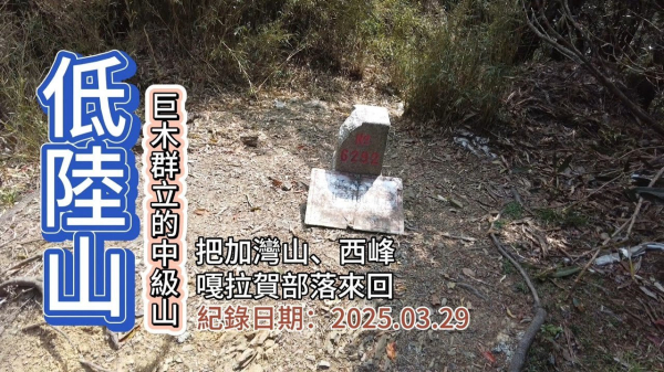 「低陸山」,巨木群林立的中級山,並訪把加灣山、把加灣山西峰,深入嘎拉賀部落,有許多神木的地方