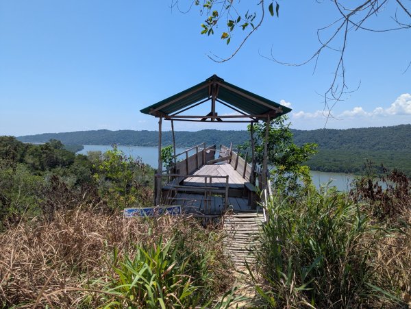 20260417 汶萊 - Bukit Si Patir3038254