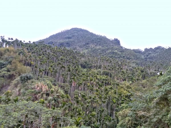 獨立山國家步道769226