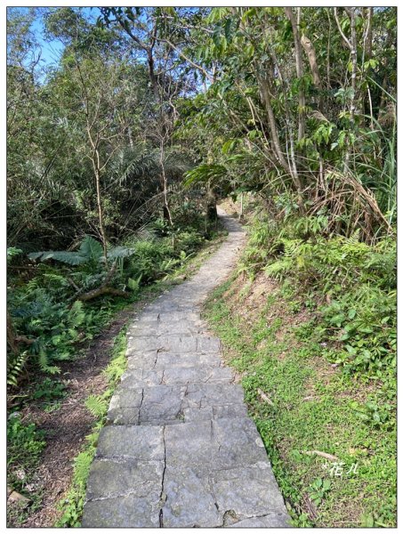 炮子林山、樟山、恆光橋崙 (政大三小山)2715723