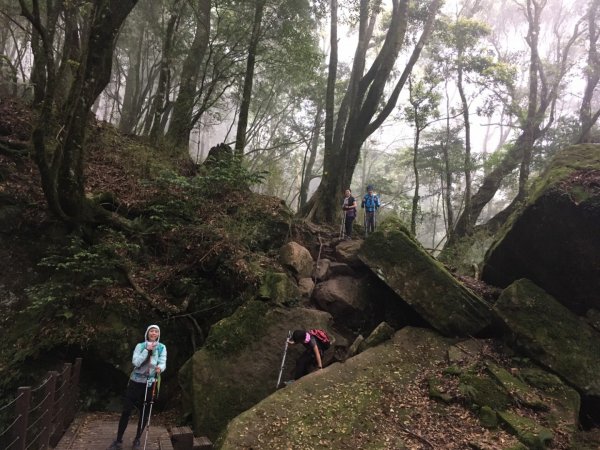 2020.05.02加里山 鹿場登山口來946370