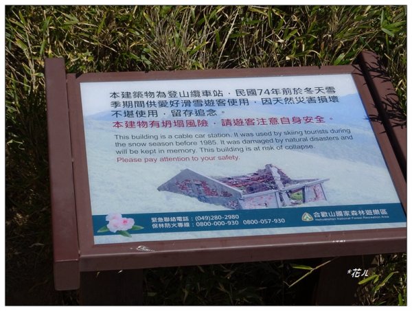 合歡山東峰1319734