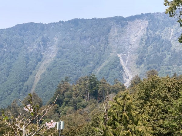 1090321阿里山森林遊樂區891656