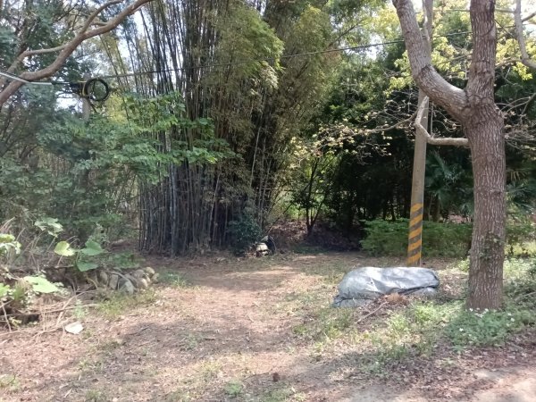 竹東鎮柯子湖山福隆步道稜線路+腰繞路P字走3013363