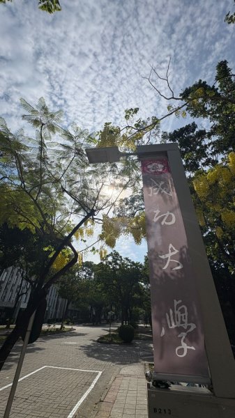 台南一日散策、尋找陽光與記憶的痕跡3055476