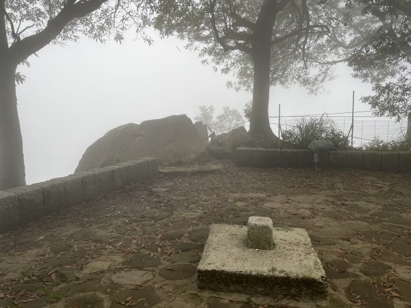 2023_0429_挑筍古道2138292