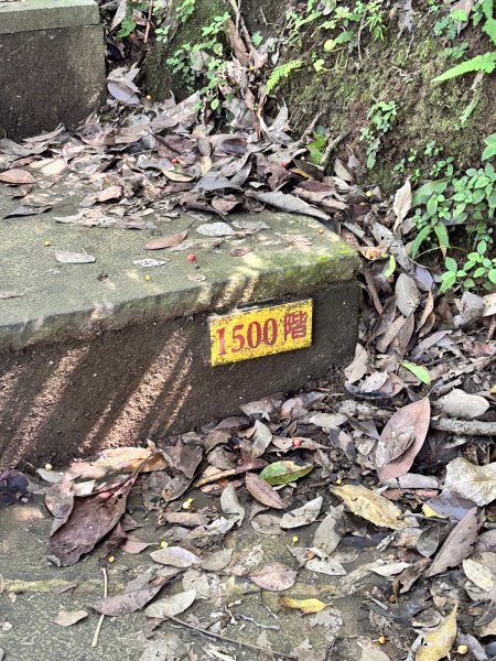 龜山島 401 高地登島2899118