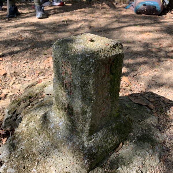 20260207南投雨後頭縱走2998107